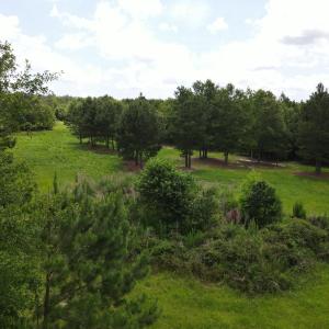 DJI_0554
