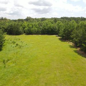 DJI_0553