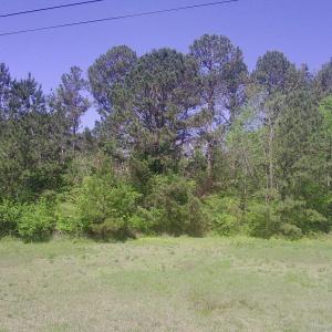 20250409213640557346000000-o