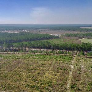 20250228143314231652000000-o