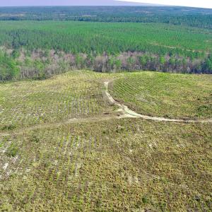 20250228143309204346000000-o