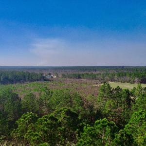 20250228143319167723000000-o