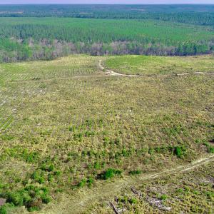 20250228143305218299000000-o