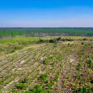 20250228143258200602000000-o