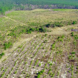 20250228143302332596000000-o