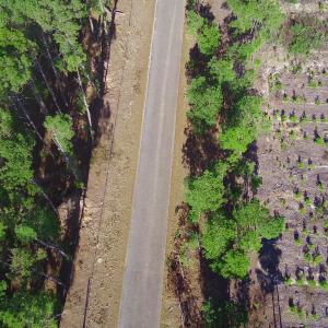 20250228143316666974000000-o