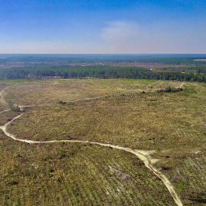 20250228143311755268000000-o