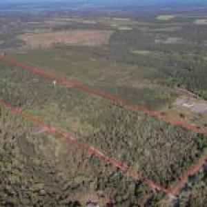 20250523044025810881000000