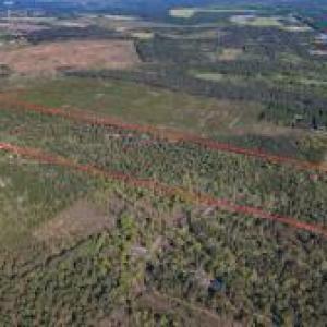 20250523044111546360000000