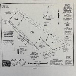 20250729141557161484000000-o