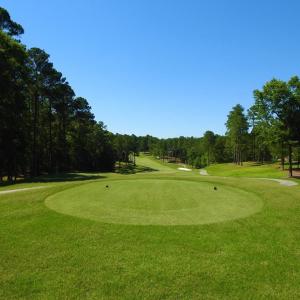 Photo #24 of L1 B47 Maxwell, McCormick, SC