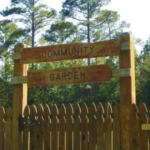 Photo #26 of L1 B47 Maxwell, McCormick, SC