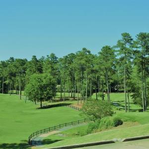 Photo #8 of L1 B47 Maxwell, McCormick, SC