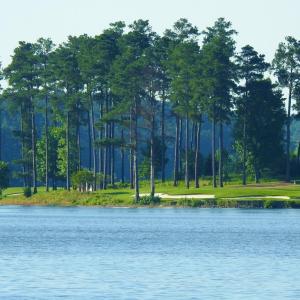 Photo #4 of L1 B47 Maxwell, McCormick, SC