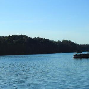 Photo #31 of L1 B47 Maxwell, McCormick, SC