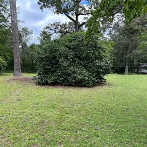 Natural Landscaping