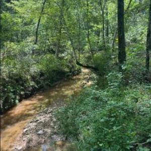 Screenshot 2025-08-19 091625