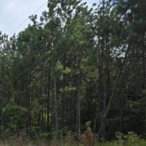 Screenshot 2025-08-19 091638