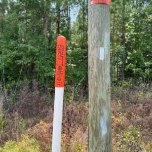 Screenshot 2025-08-19 091655