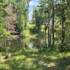 20250819001952984454000000-o