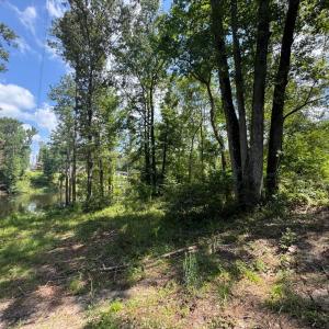 20250819001943985545000000-o