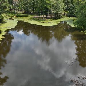 DJI_20250831132808_0371_D