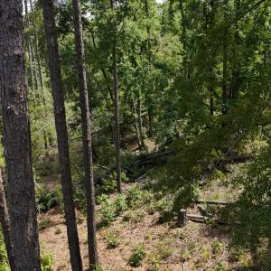 DJI_20250831133130_0374_D