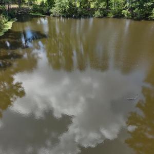 DJI_20250831132831_0372_D