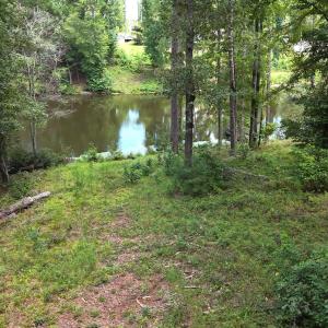 DJI_20250831132356_0363_D