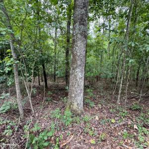 20250817191442874916000000-o