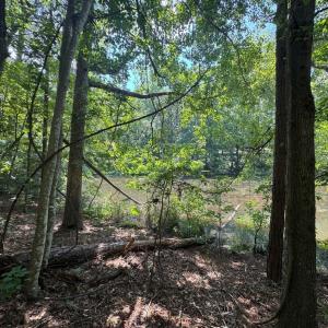 20250819000514066233000000-o