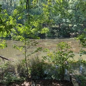 20250819000530162303000000-o