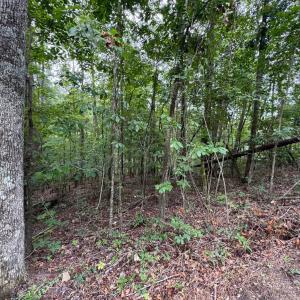 20250817191542650935000000-o