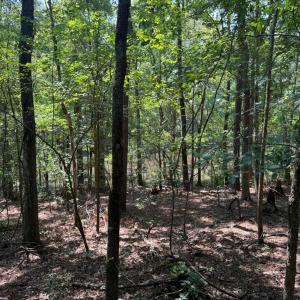 20250819000452725100000000-o