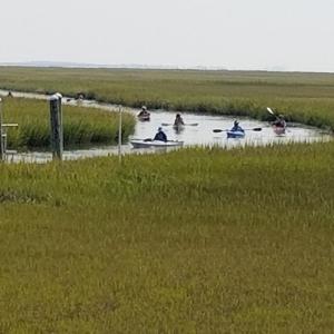 Kayakers on Crippen Creek