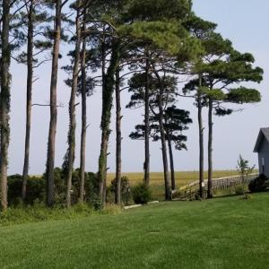 Community Dock Access