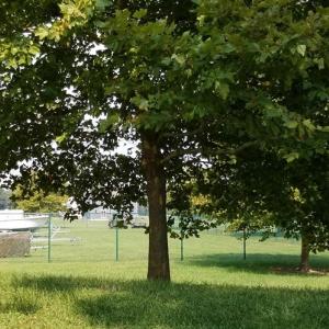 Boat and Trailer Storage