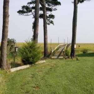 Community Access to the fabulous dock