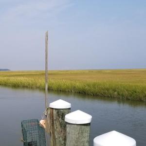 Looking up Crippen Creek toward Gargathy Bay
