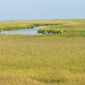 Enjoy the adventure and the wildlife