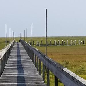 Wow, what a Community Dock