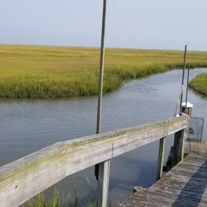 Dock out into Crippen Creek