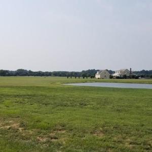 Looking across Lot 20, Ocean View