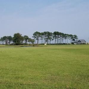 Looking across Lot 20 to the pond