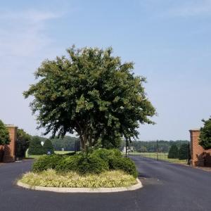A Gated Community, Main Gate into the beautiful gated community of Ocean View on the Eastern Shore of VA.