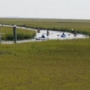 Kayakers on Crippen Creek