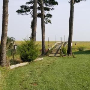 Community Access to the fabulous dock