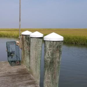Time to go crabbing!