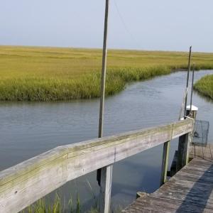 Dock out into Crippen Creek