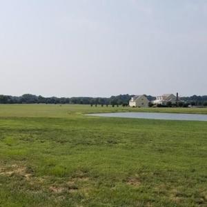 Looking across Lot 20, Ocean View